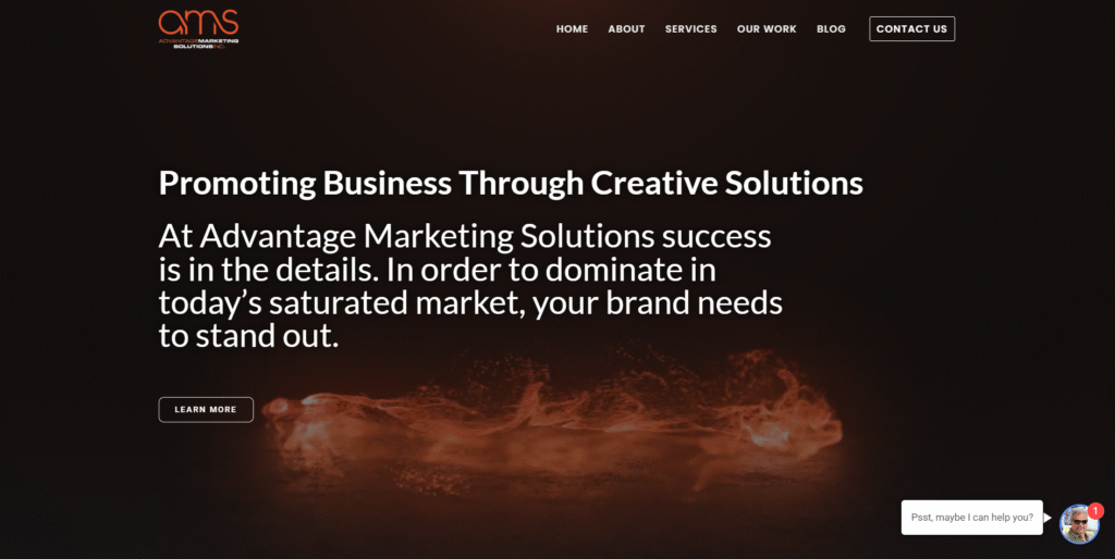 AMS Website Screenshot